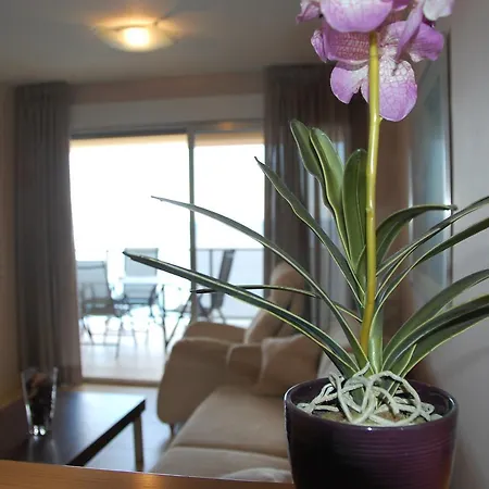 Sea View Santa Clara 아파트 *